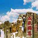 万卉园林13793836199