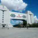 魏Zifeng