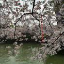 贾丽芳