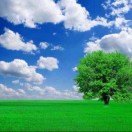 张来长年批发雪糕和提供冰柜