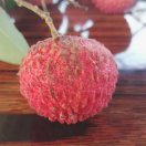 青橙汁的个人空间