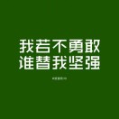 飞翔的鹰