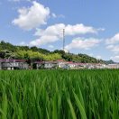 山田三四亩