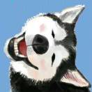 安卓非标资源cpa