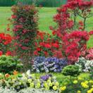 那年难忘的宁夏