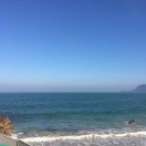 A：大唐顺兴木业【李永平】