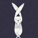 🐰