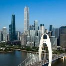 杨春利
