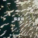 水山66541