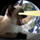 张