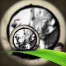东林竹影