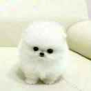 寂寞ヽ撕碎了回忆