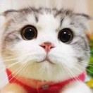 zhanyue206296's Avatar