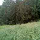 明天更美好95037