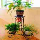 微信小海豚_22972287