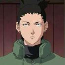 wattbot's Avatar