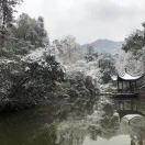 地平线