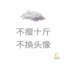夢(mèng)想家。