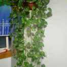 堉圣林生态农业