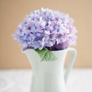 芳