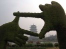 沉默是金