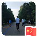 美质优木