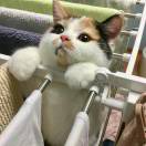 书友1023548809的头像