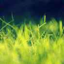 张安群13961172115