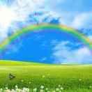 风雨后的彩虹20939