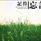 shandong liu