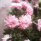 经营豆粕鸡蛋13739322966