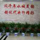 专业卡车分期