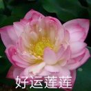 。。。。