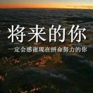 廣告 林