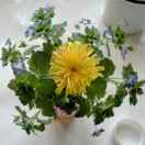 夕阳其实也很美