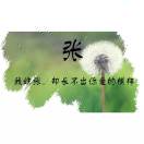yuanjh