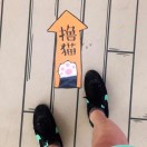 朝阳开了