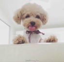 淼的头像