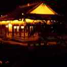 胖哥專銷土豬肉批發(fā)