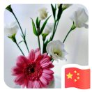 一花一天堂的头像