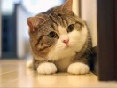 娜娜