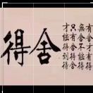 星星的头像
