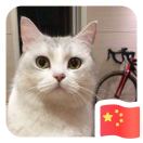 阿豐