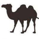 沙漠骆驼