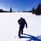 boxiang34's Avatar