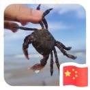 天赐福临