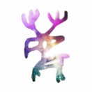 千影鹿