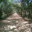 蓝旗--郭志勇--13947919880