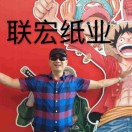 联宏纸业陈震虹