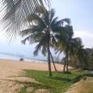 dachang